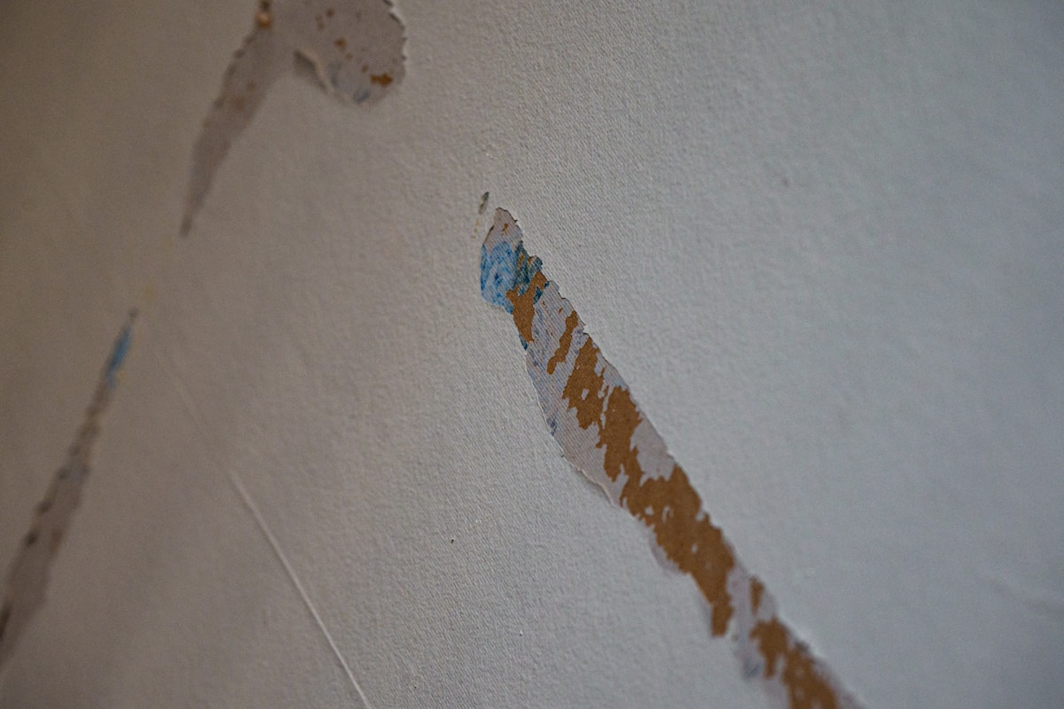 Mold Remediation service in Hamilton, OH